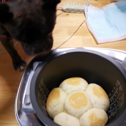 美味しくて、簡単に作れるレシピ有り難うございました!!ワンコも匂いにつられてやって来ました!!